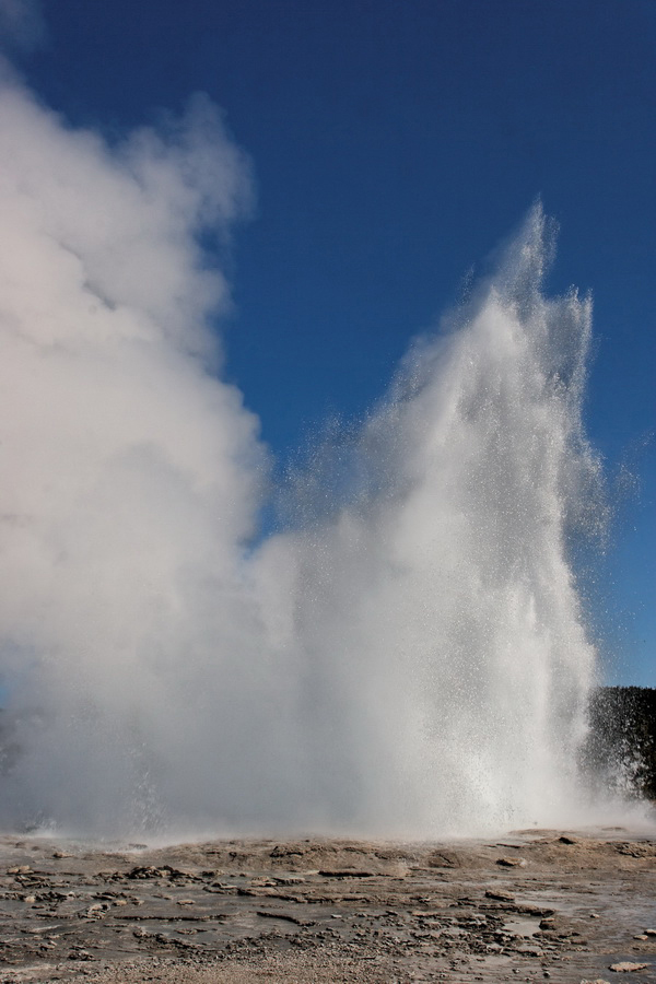 Fountain Geyser in Yellowstone National Park, Wyoming
