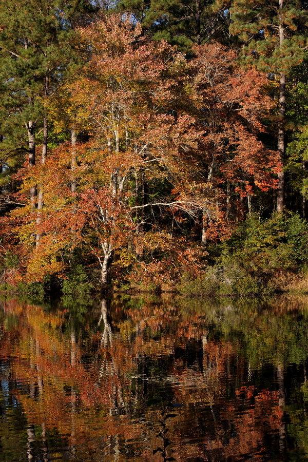 GA Autumn in Pine Mountain, Georgia