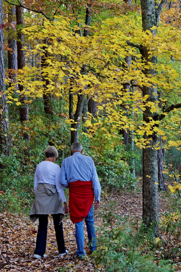 Autumn Walk in Pine Mountain, Georgia