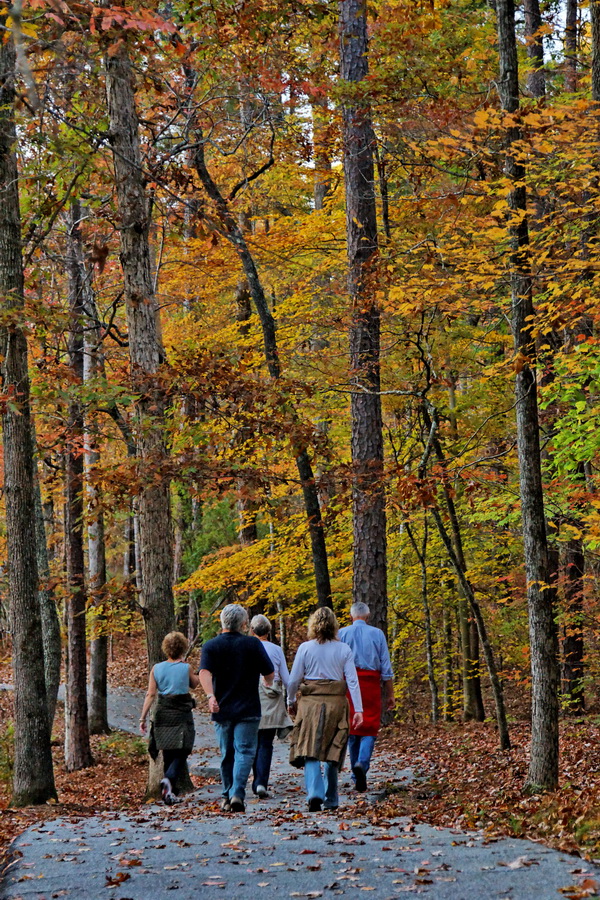 Autumn Stroll in Pine Mountain, Georgia