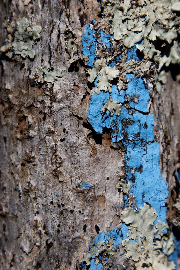Trail Marker in Highlands, North Carolina