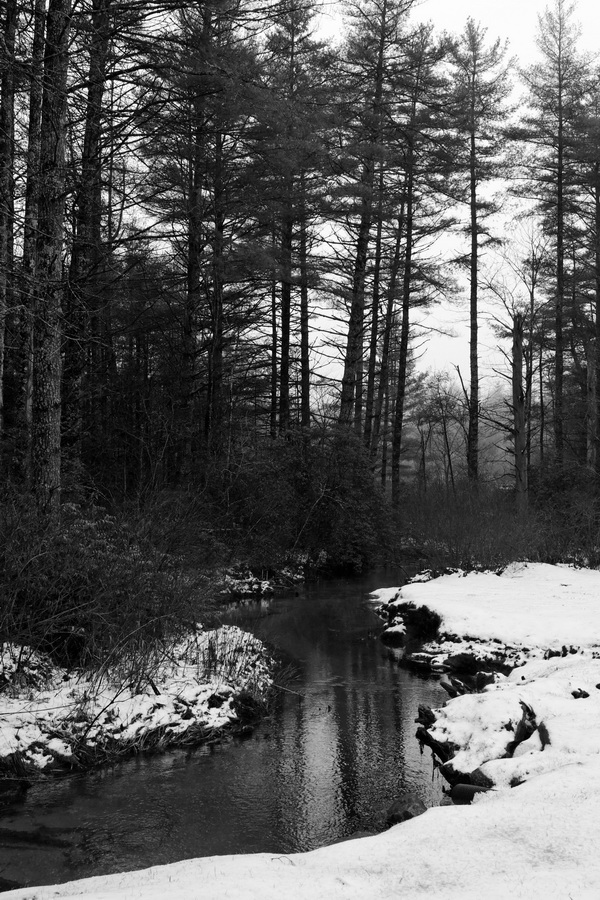 Winter Stream in Highlands, North Carolina