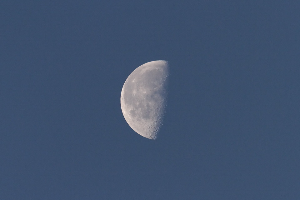 Half Moon in Scottsdale, Arizona