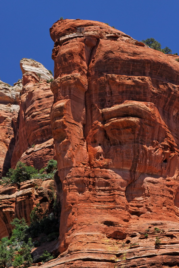 Red Rocks in Sedona, Arizona