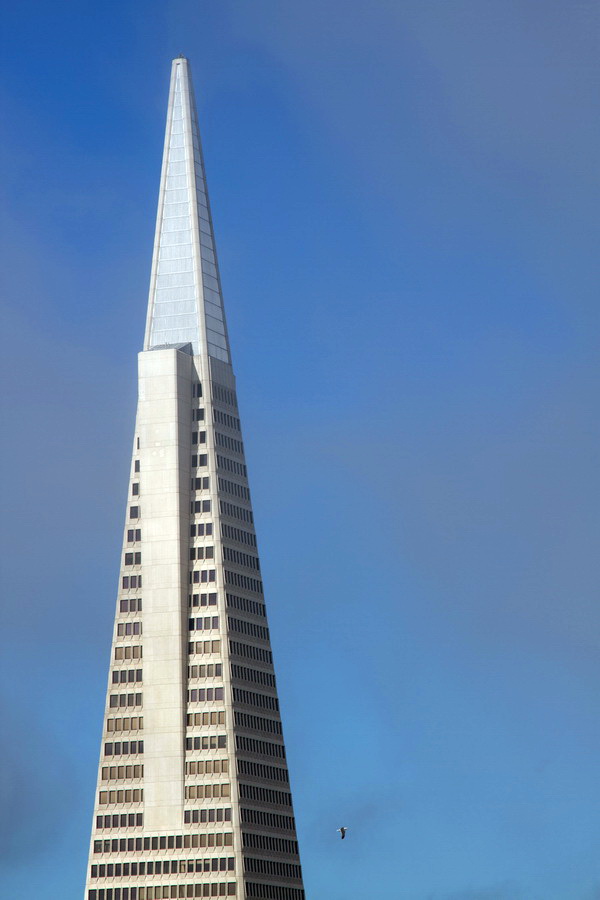Transamerica Pyramid in San Francisco, California