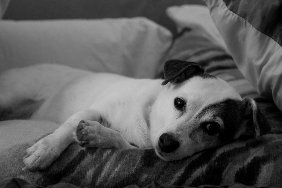 B&W JR in Atlanta, Georgia