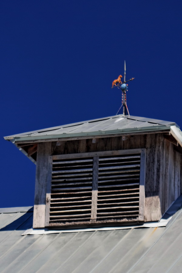 Horse Vane in Highlands, North Carolina