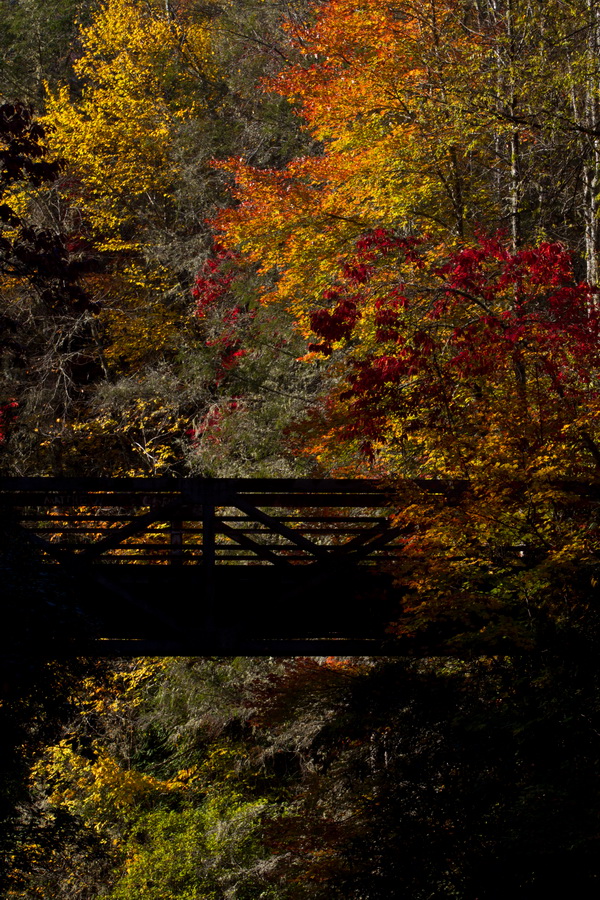 Fall Colors in Highlands, North Carolina
