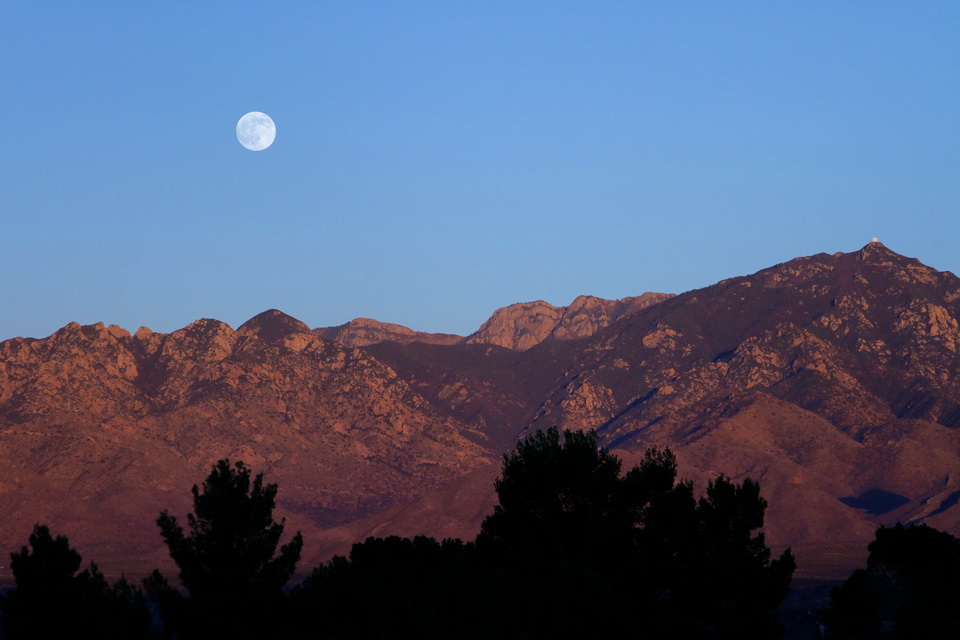 Desert Moon in Tucson, Arizona
