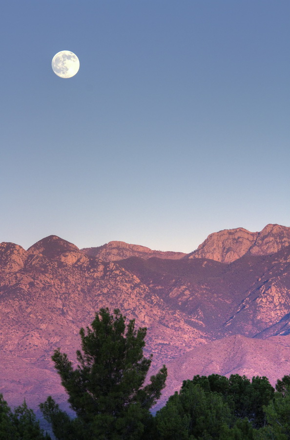 Desert Moon in Tucson, Arizona