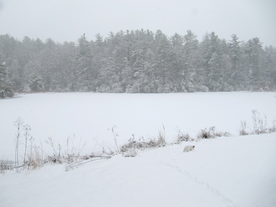 White Christmas in Highlands, North Carolina