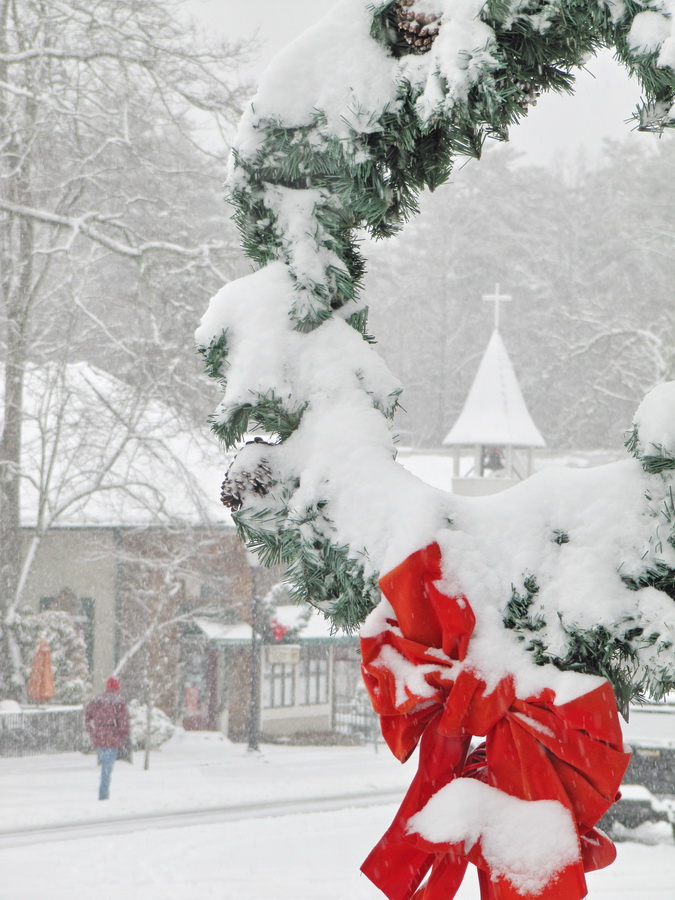 Snow Wreath in Highlands, North Carolina