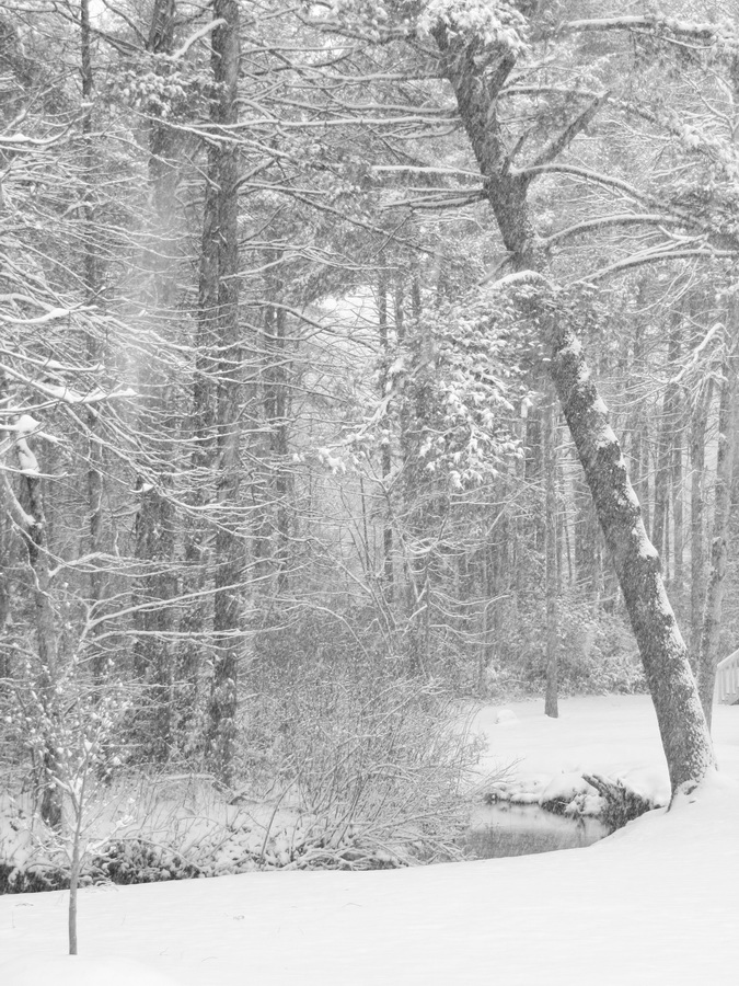 Snow Fall in Highlands, North Carolina