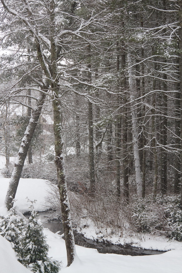 Snow Stream in Highlands, North Carolina