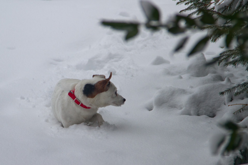 Wadding In Snow in Highlands, North Carolina