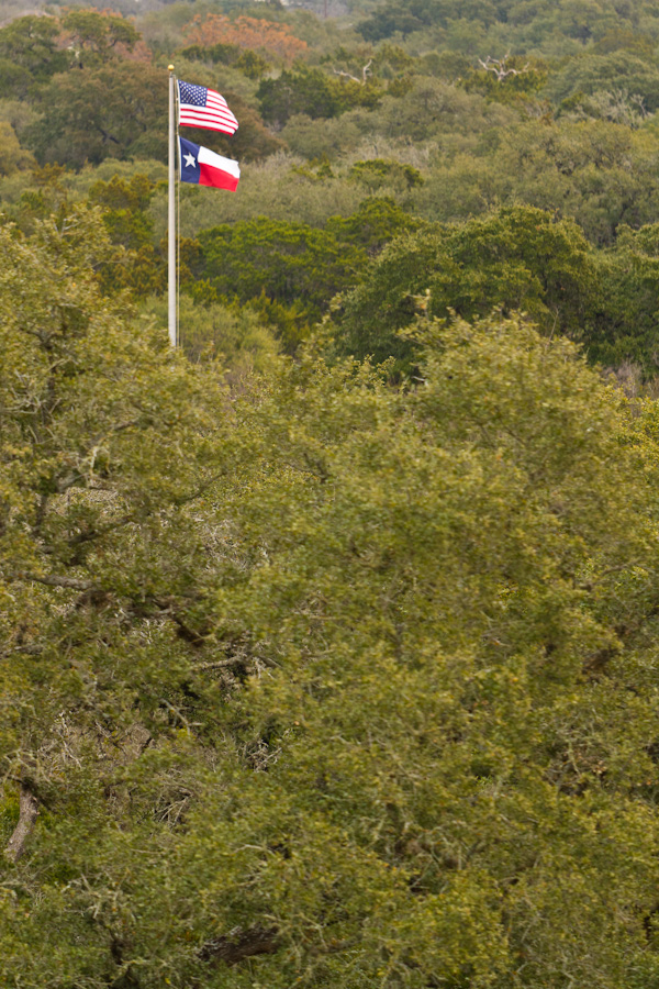 See of Green in Austin, Texas