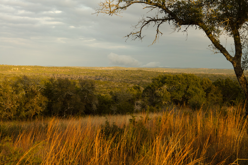 Hill Country in Austin, Texas
