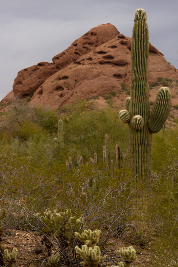 Papago View in Phoenix, Arizona