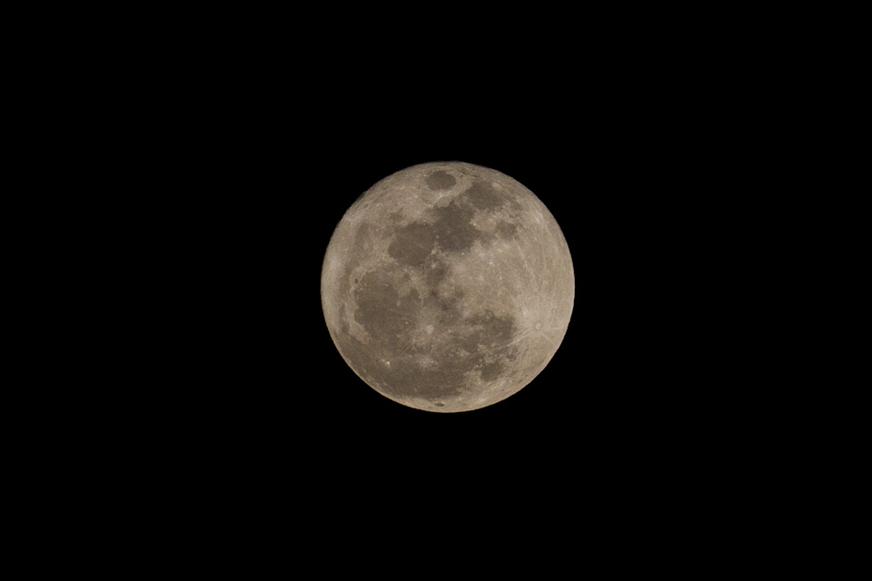 Perigee Full Moon  in Atlanta, Georgia