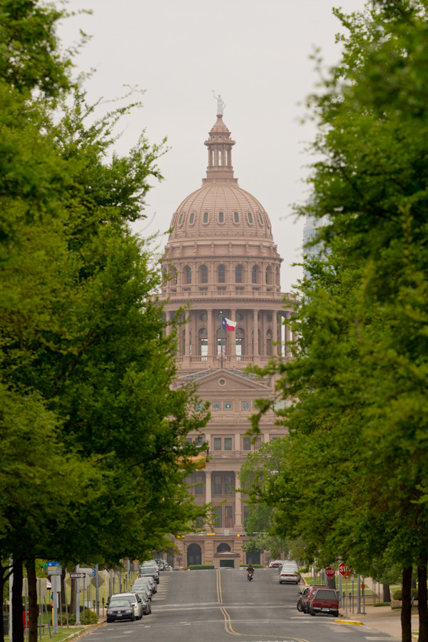 Tree Lined View in Austin, Texas