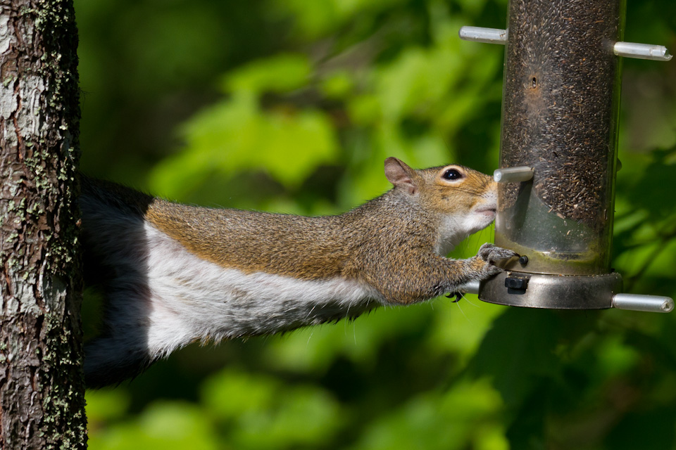 Lunch Stretch in Highlands, North Carolina