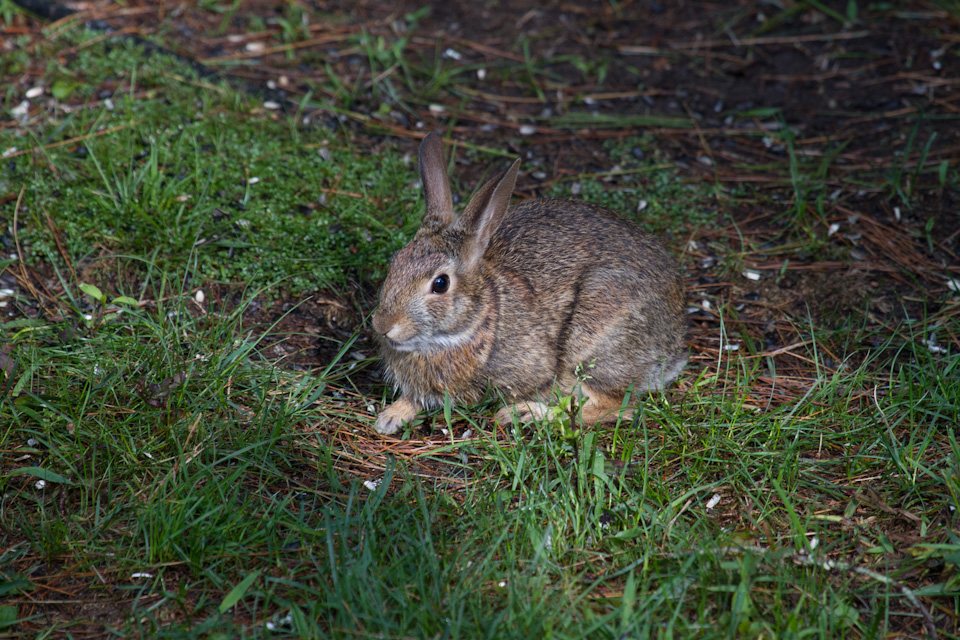 Lawn Mower in Highlands, North Carolina