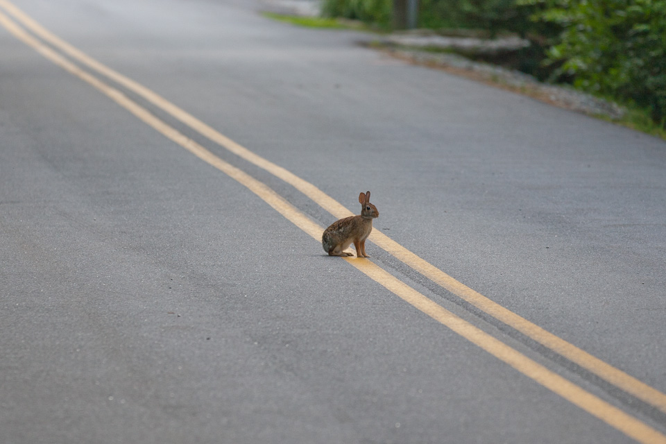 Life in the Fast Lane in Highlands, North Carolina