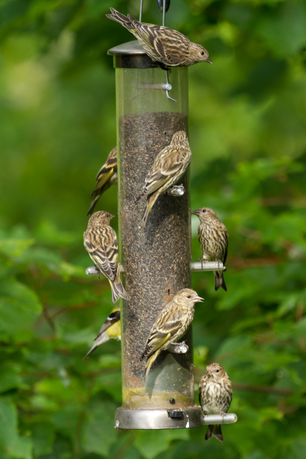 Full House in Highlands, North Carolina