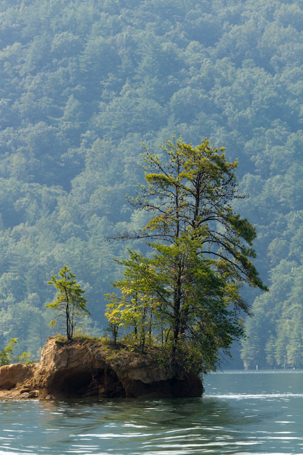 Forest on an Island in Highlands, North Carolina