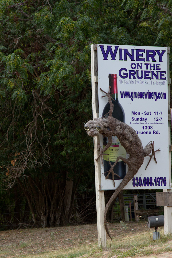 Lizard Sign in New Braunfels, Texas