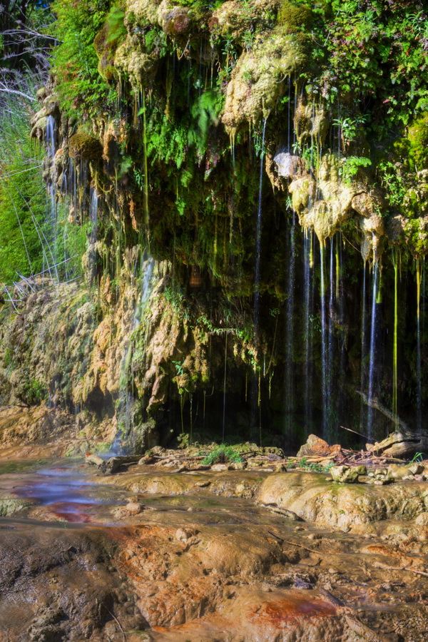 Knight Spring in Austin, Texas