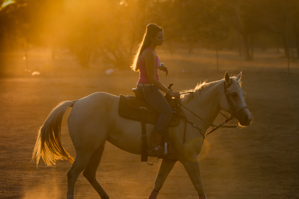 Sunset Rider in Johnson City, Texas