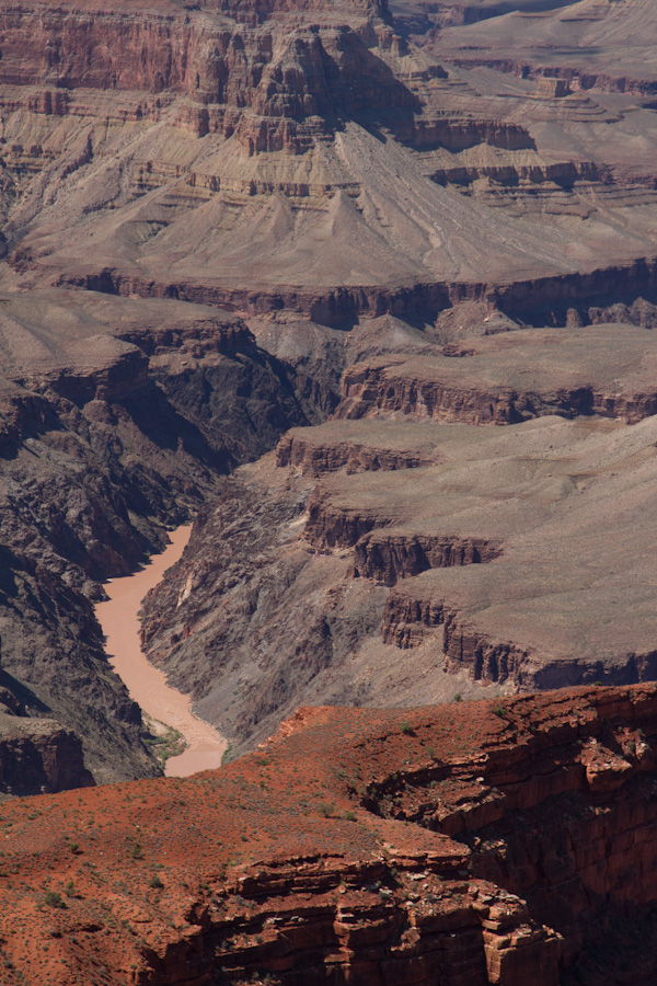 The Alligator in Grand Canyon, Arizona