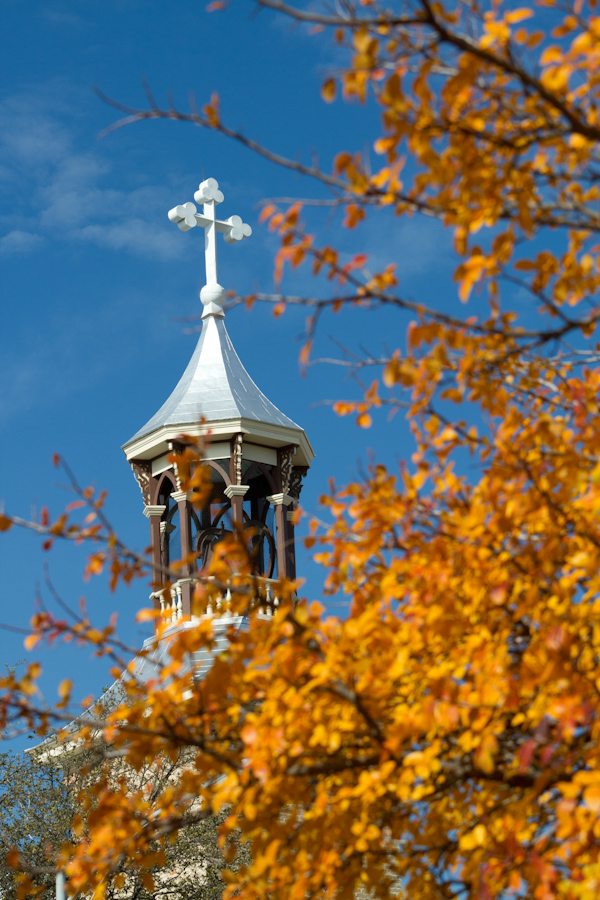 Autumn Cross in Austin, Texas
