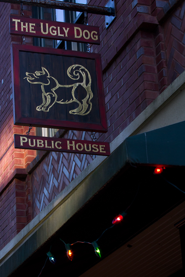 Ugly Dog Pub in Highlands, North Carolina
