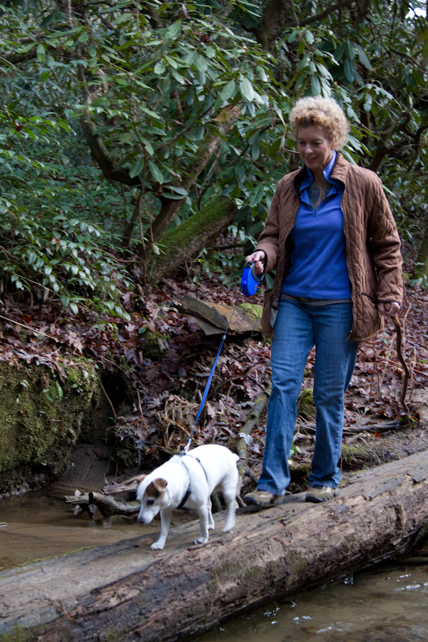 Hikers on a Log in Highlands, North Carolina