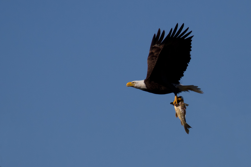 Fishing in Llano, Texas
