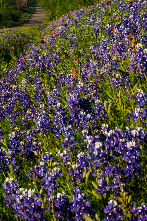 Cover in Austin, Texas