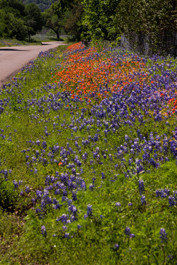 Pretty Road in Austin, Texas