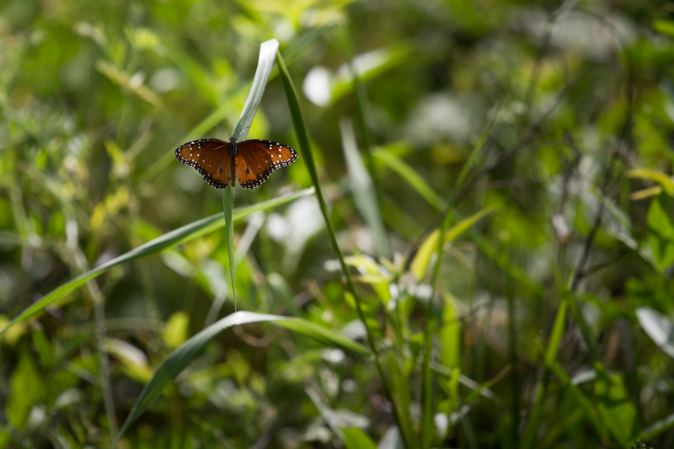 Resting in Austin, Texas
