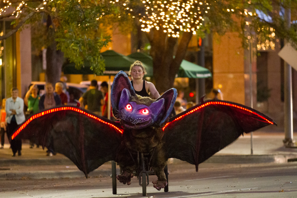 Bike Bat in Austin, Texas
