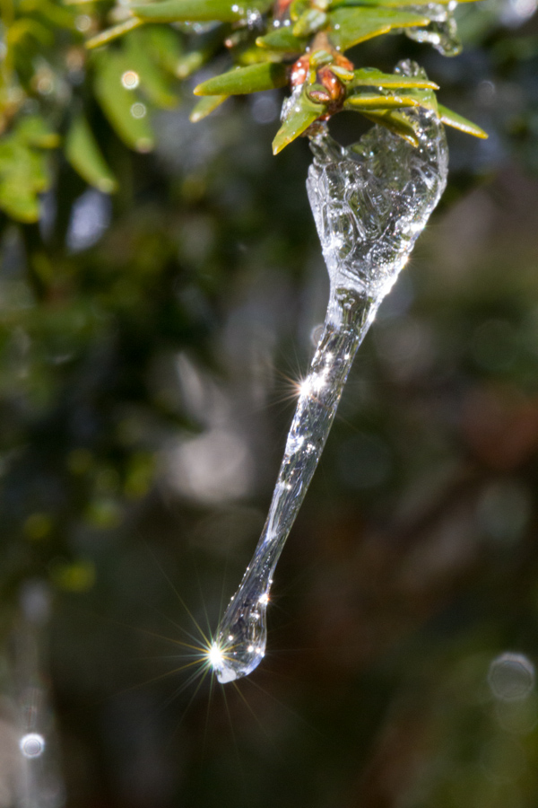 Frozen Rain in Highlands, North Carolina