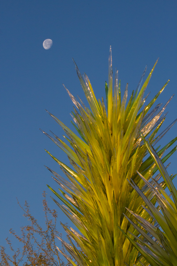 Moon and Glass in Phoenix, Arizona