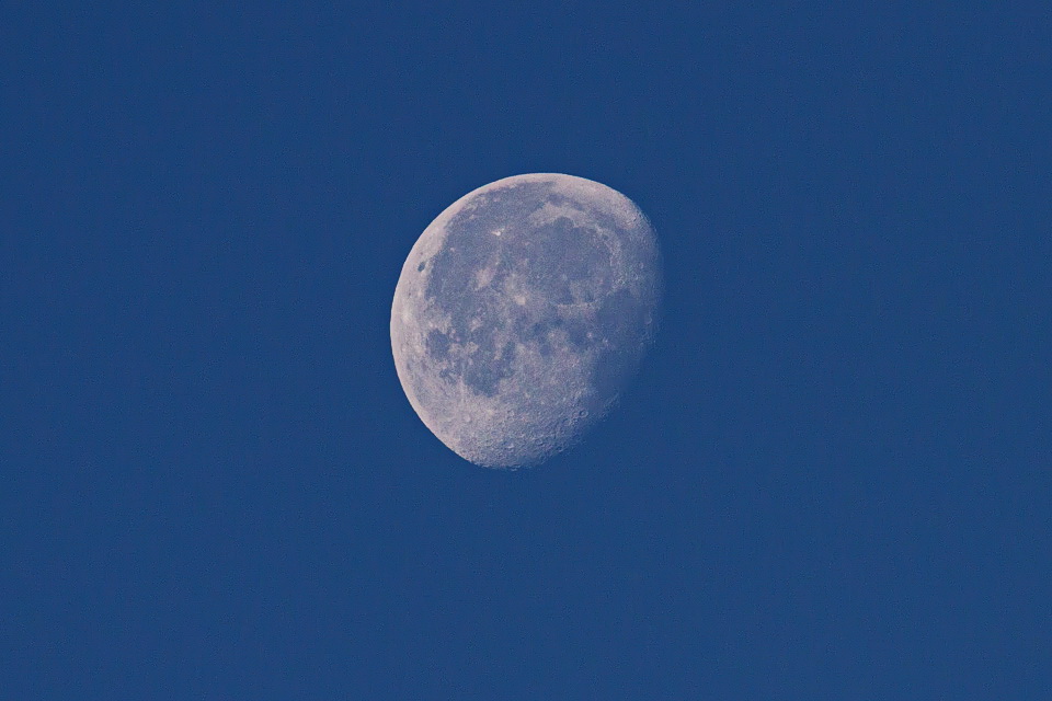 Desert Moon in Phoenix, Arizona
