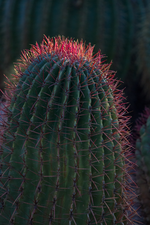 Red Glow in Phoenix, Arizona