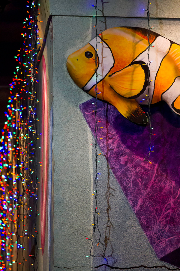 Christmas Fish in Austin, Texas