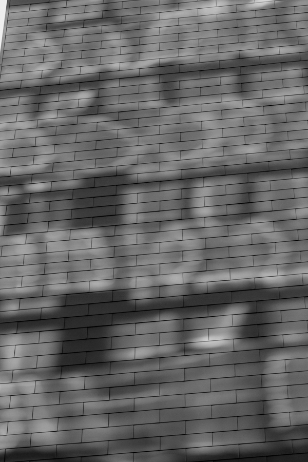 Sun Pattern in Austin, Texas
