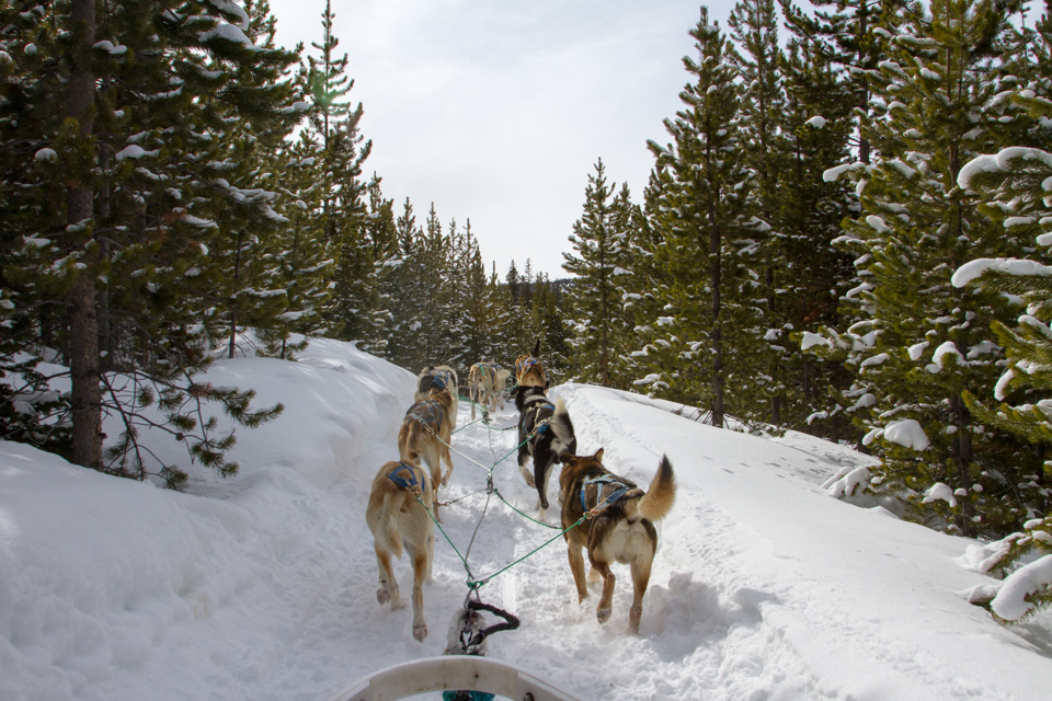 On the Trail in Yellowstone Club, Montana
