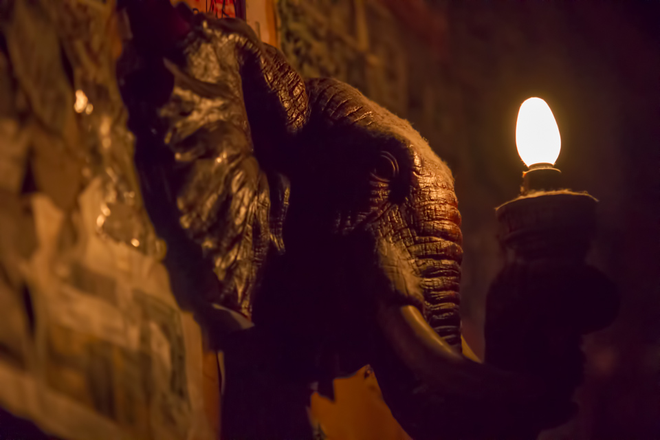 Elephant Room in Austin, Texas