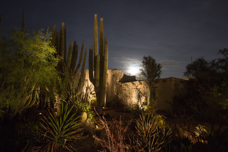 Moonlight in Phoenix, Arizona